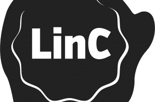 Programma’s Leiderschap in Cultuur (LinC)